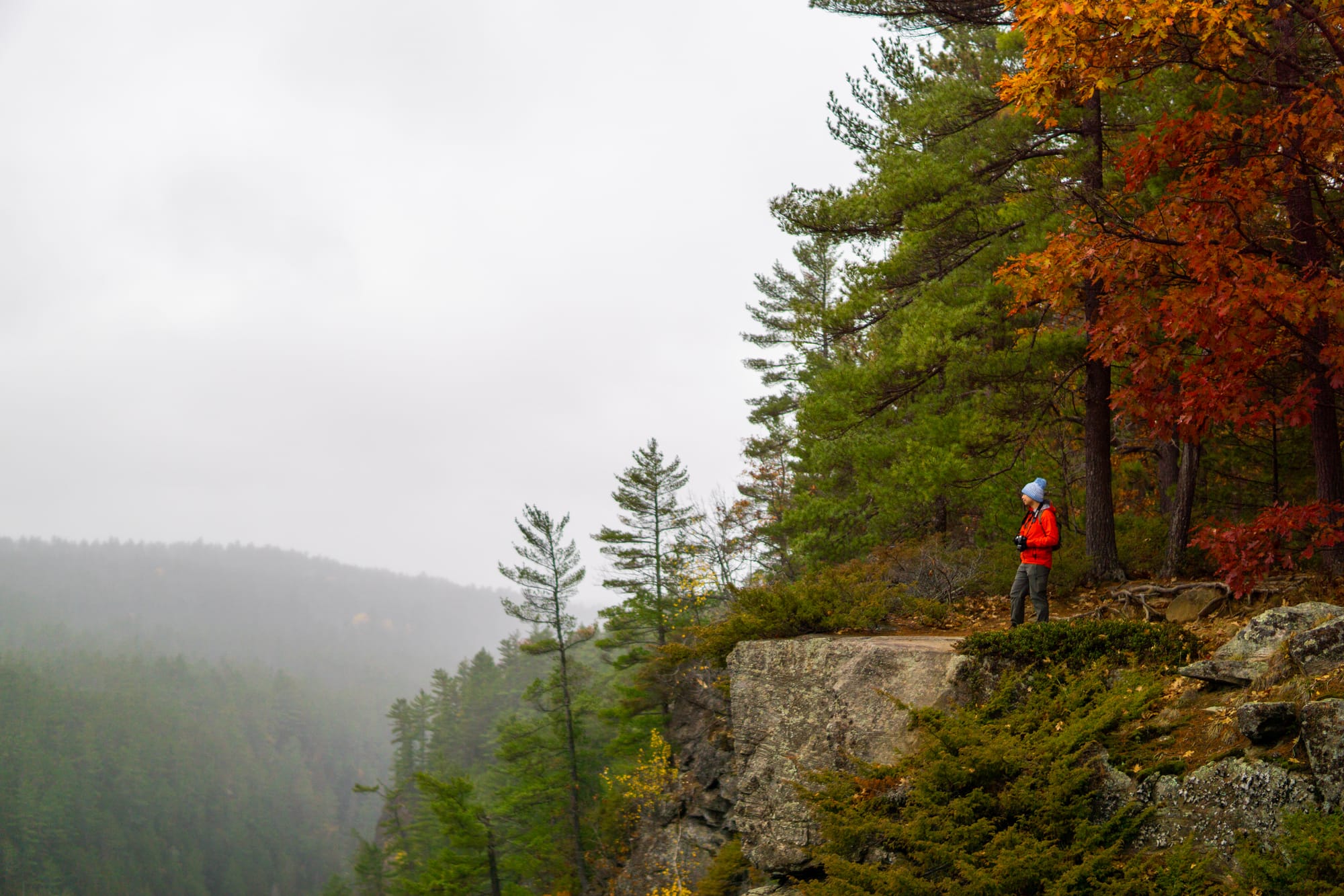 Susan's Digital Diary